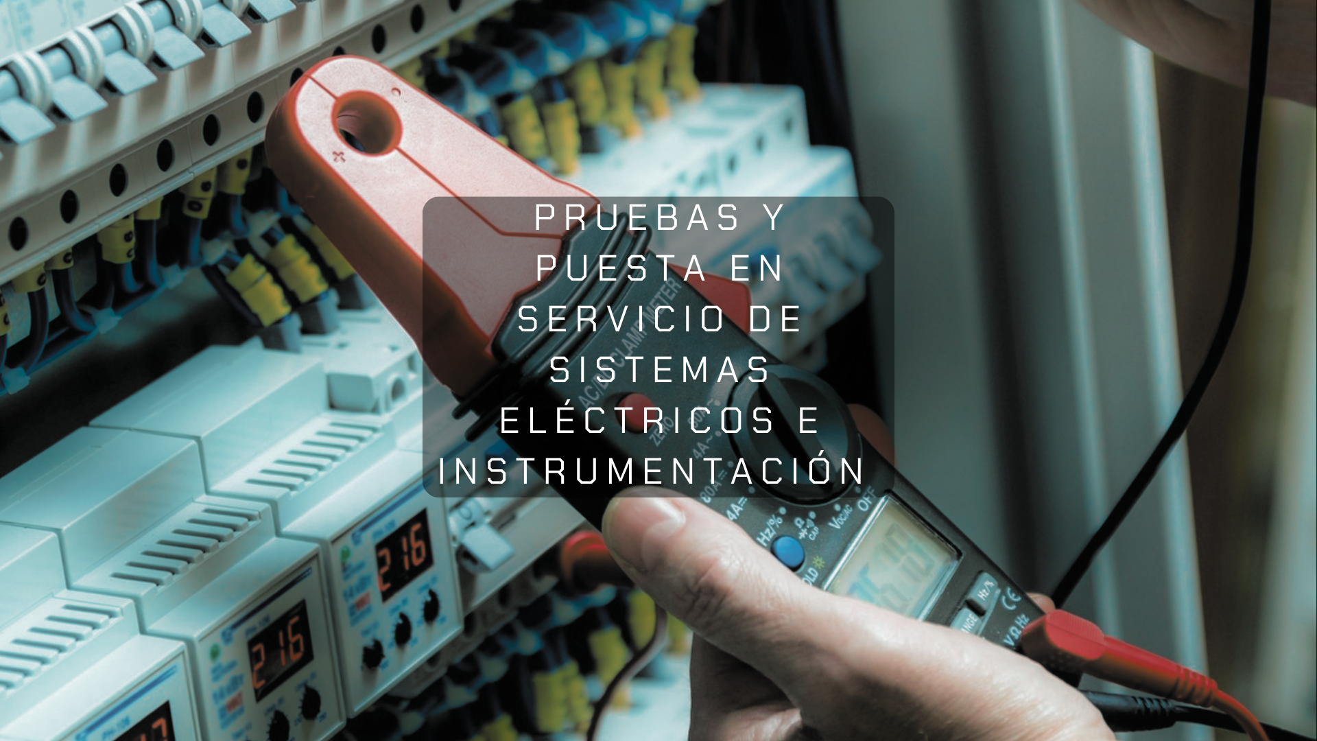 Imagen 7